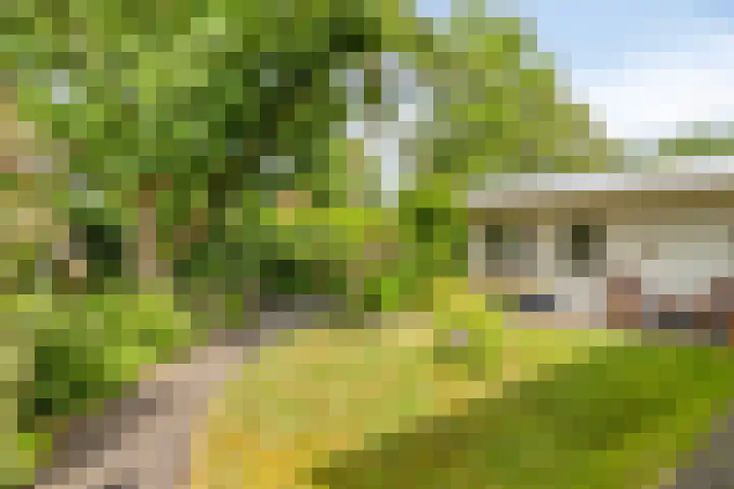 Prins Hendriklaan 15 Waalre thumbnail 26