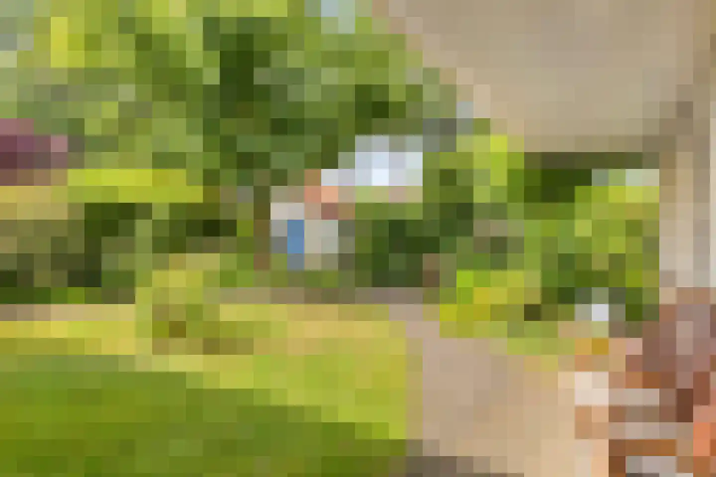Prins Hendriklaan 15 Waalre thumbnail 27