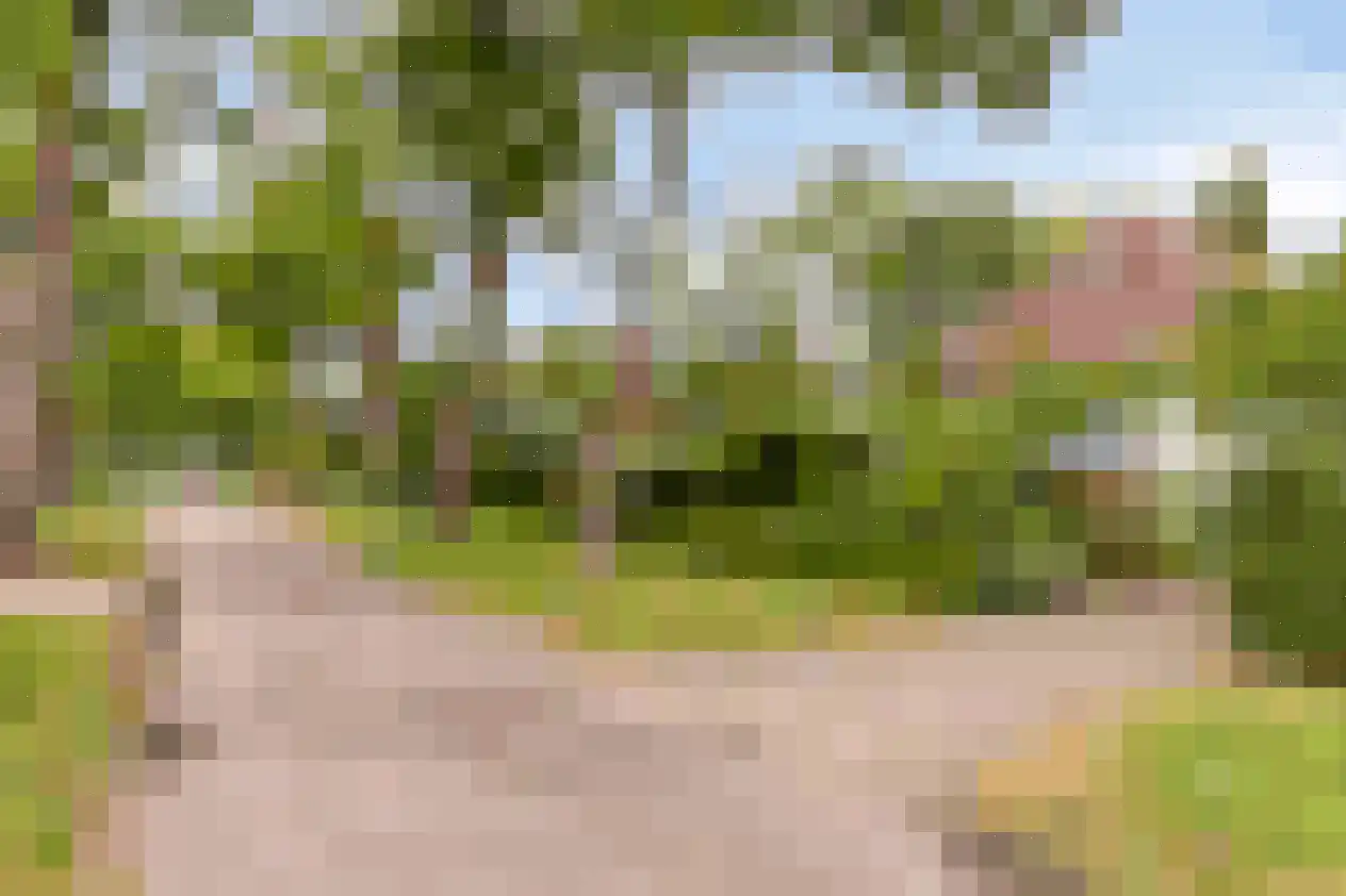 Prins Hendriklaan 15 Waalre thumbnail 4