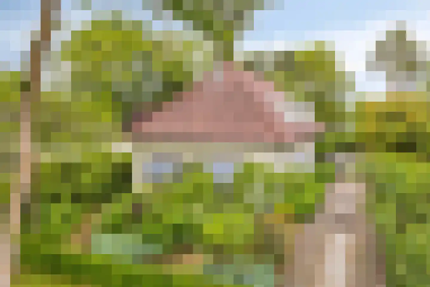 Prins Hendriklaan 15 Waalre thumbnail 5