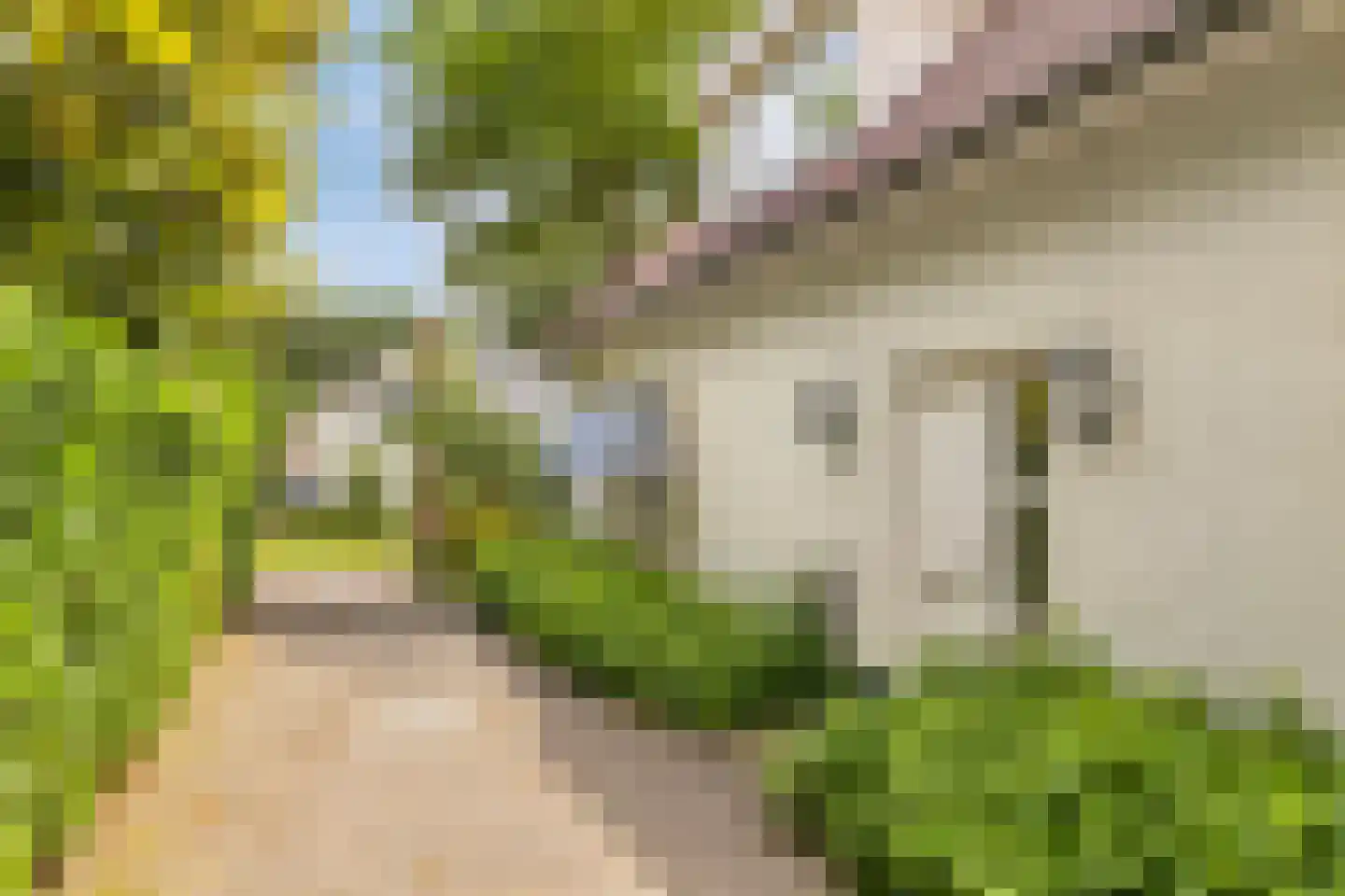 Prins Hendriklaan 15 Waalre thumbnail 6
