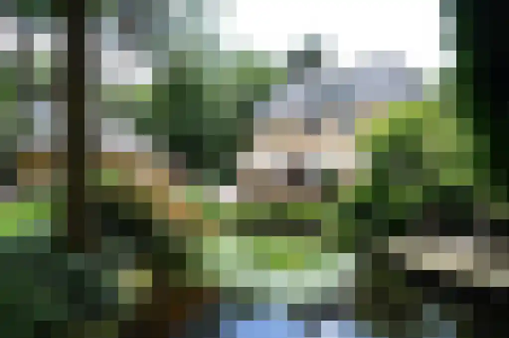 Prins Hendriklaan 16 Blaricum thumbnail 35
