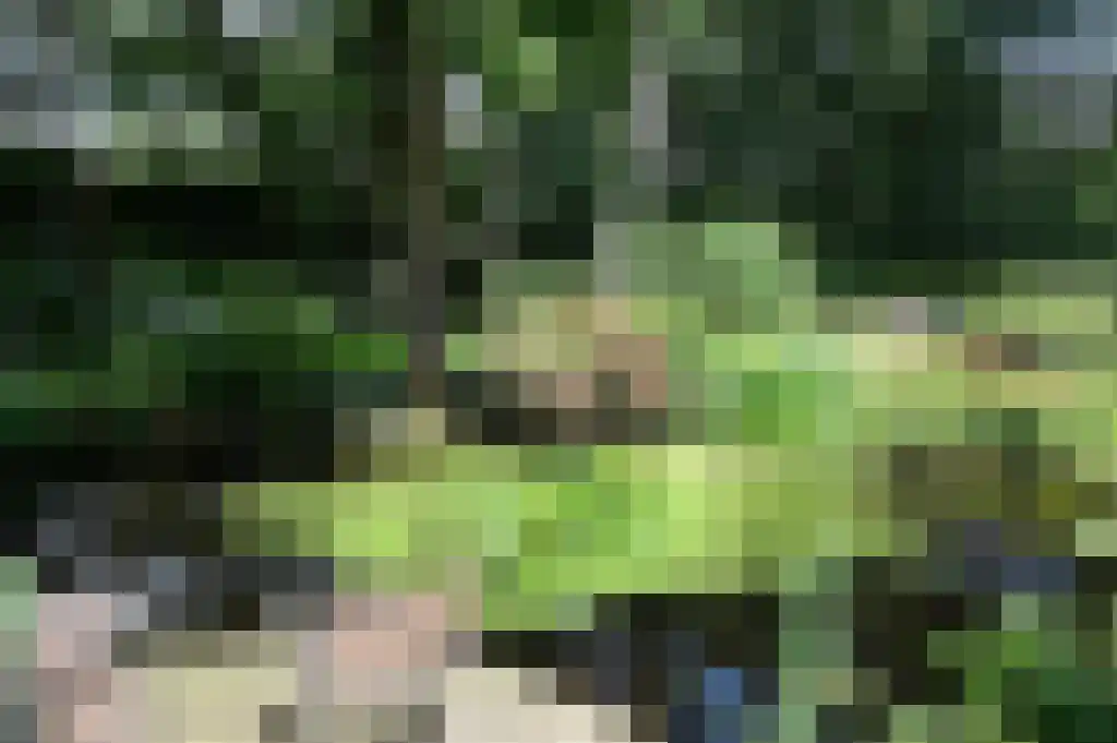 Prins Hendriklaan 16 Blaricum thumbnail 36
