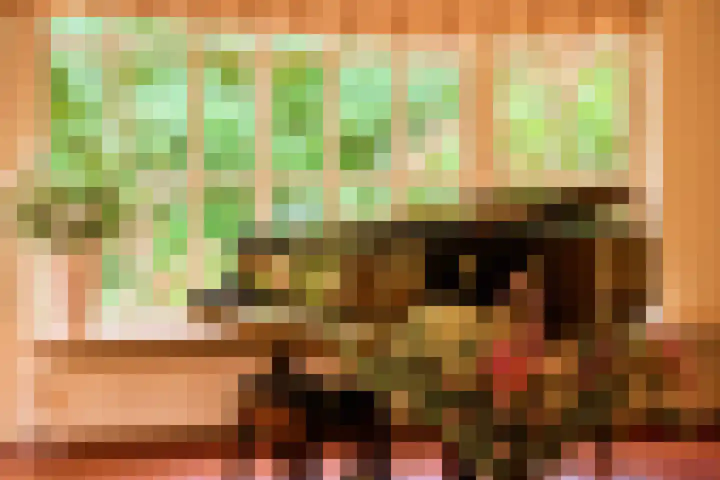 Prins Hendriklaan 16 Blaricum thumbnail 8