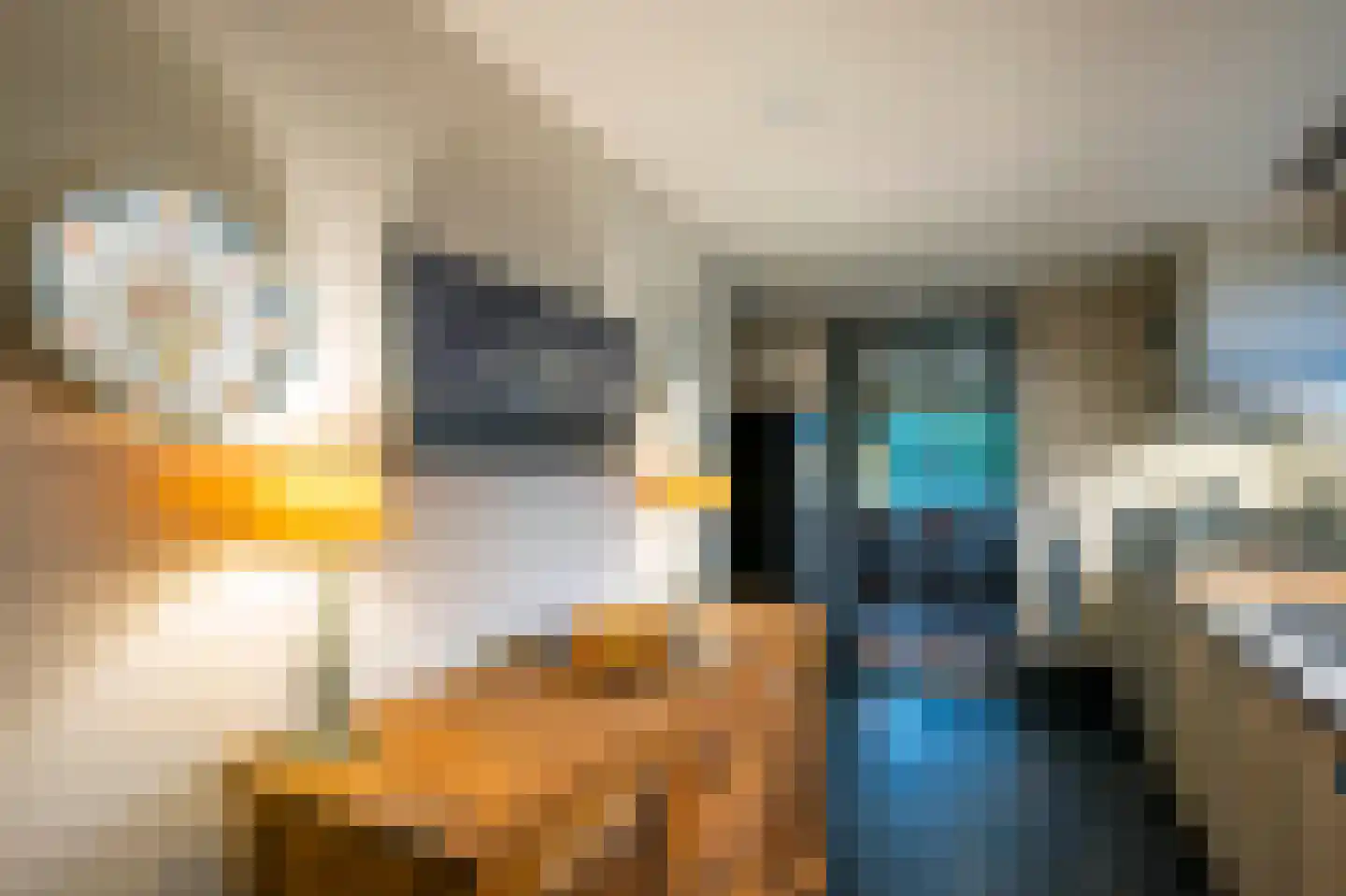 Prins Hendriklaan 17 Blaricum thumbnail 23