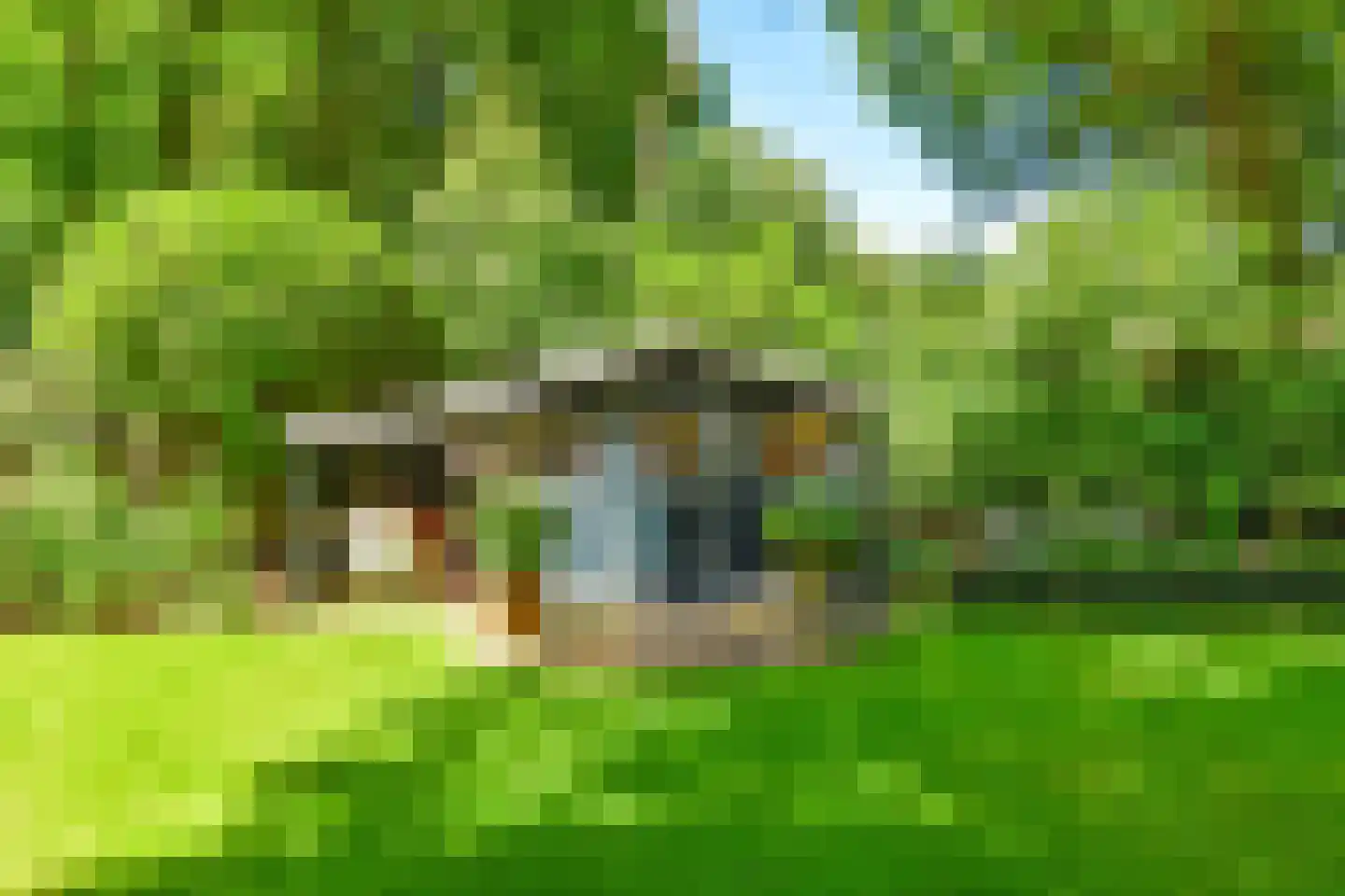 Prins Hendriklaan 17 Blaricum thumbnail 40