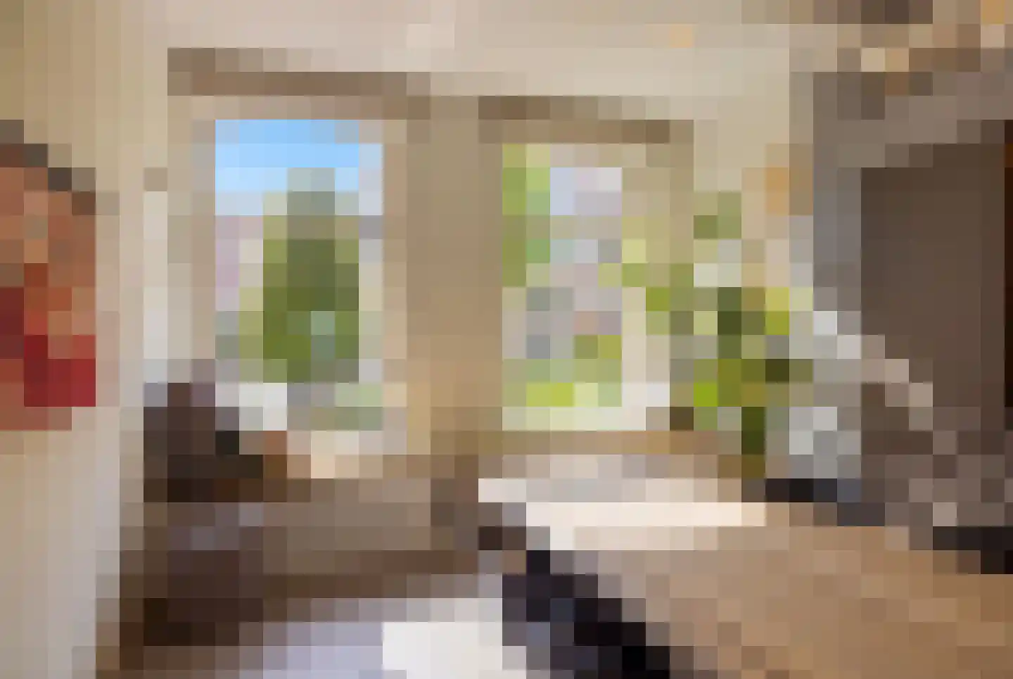 Prins Hendriklaan 18 Amsterdam thumbnail 10