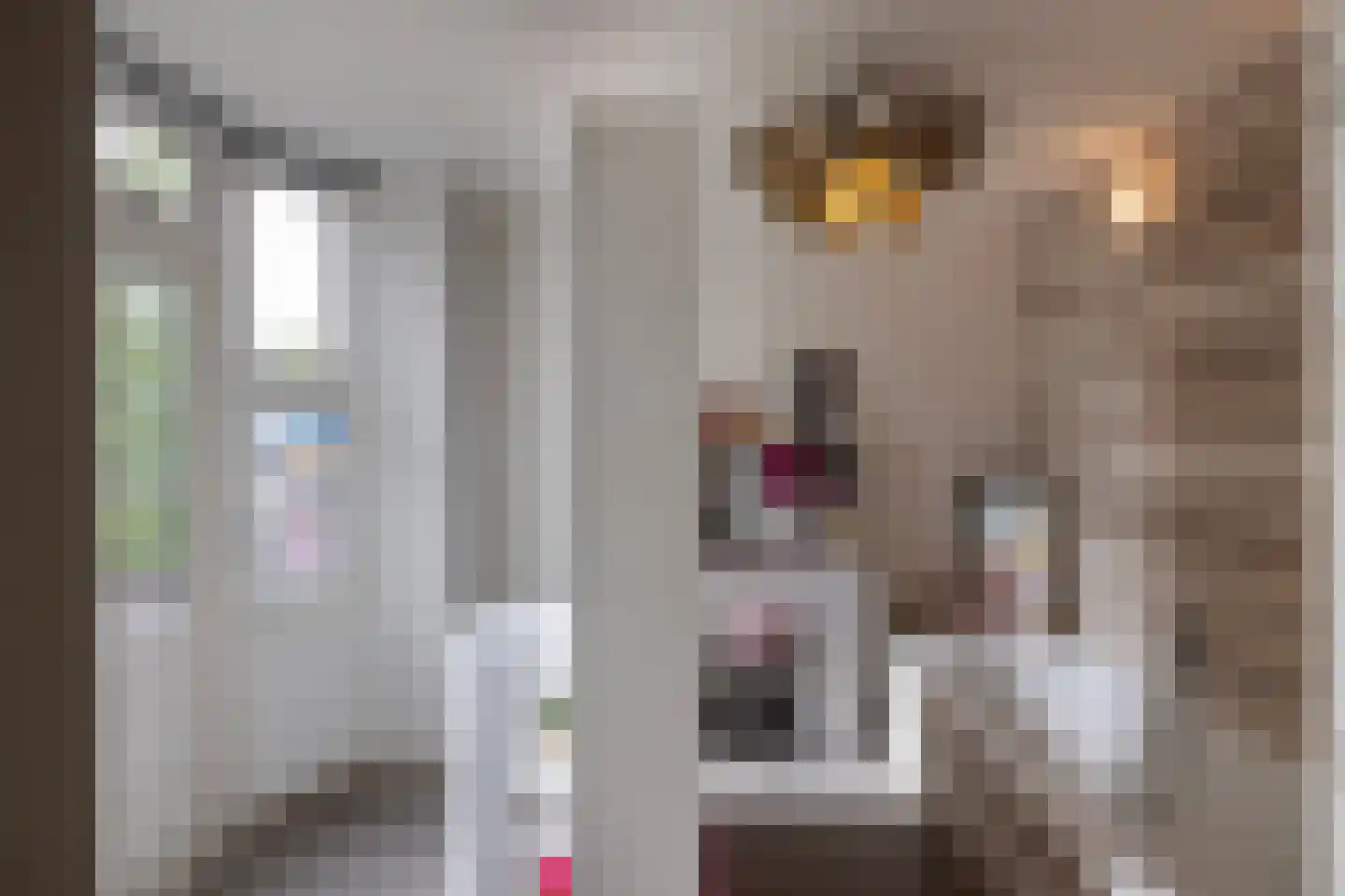 Prins Hendriklaan 18 Amsterdam thumbnail 34