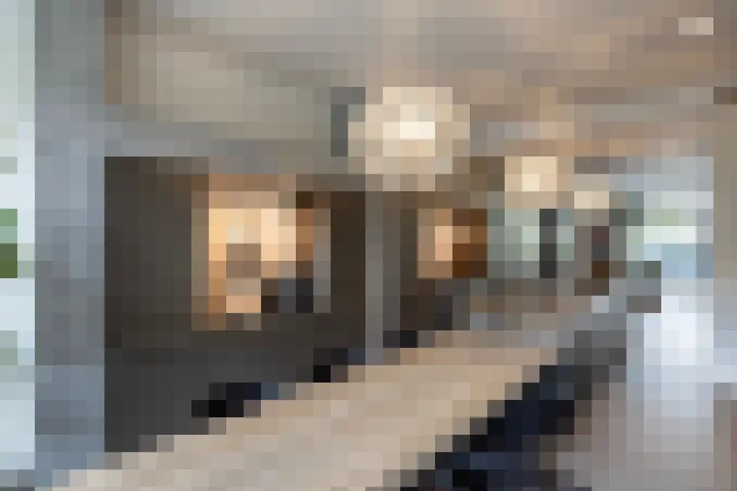 Prins Hendriklaan 18 Amsterdam thumbnail 9