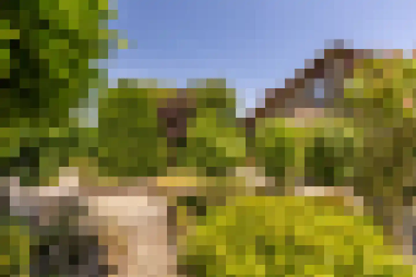 Prins Hendriklaan 18 Best thumbnail 38