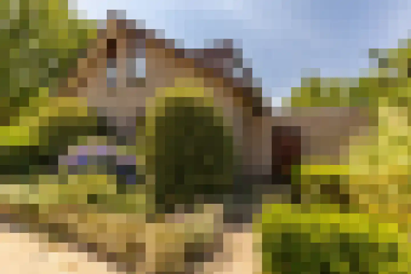 Prins Hendriklaan 18 Best thumbnail 45