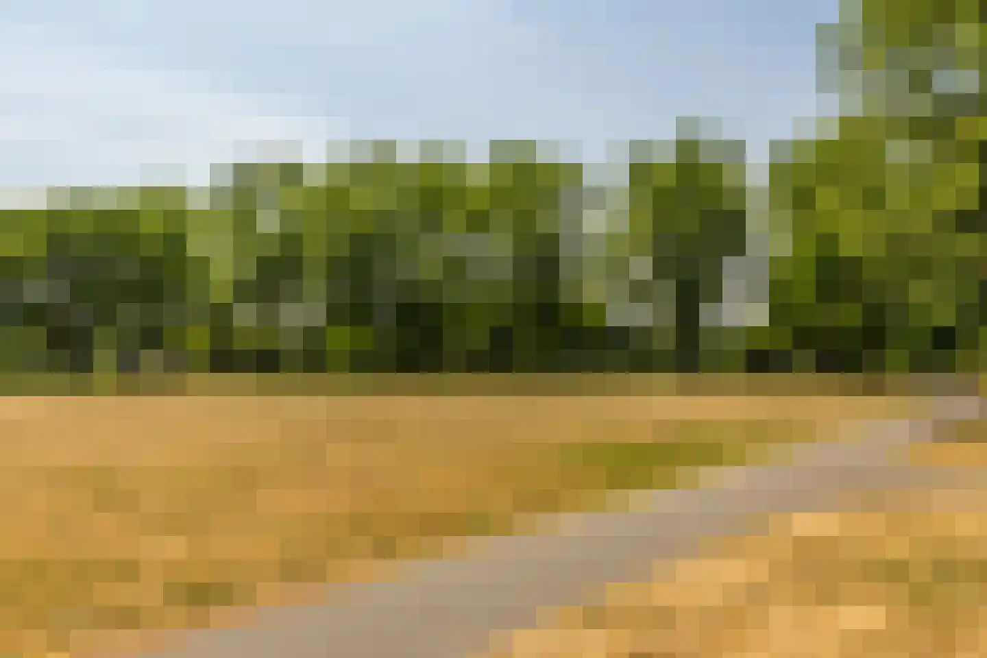 Prins Hendriklaan 18 Best thumbnail 48