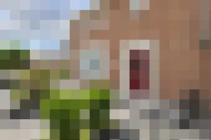 Prins Hendriklaan 18 Oosterhout thumbnail 5