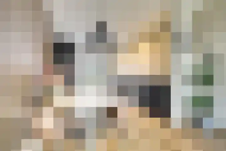 Prins Hendriklaan 18 Vlaardingen thumbnail 10