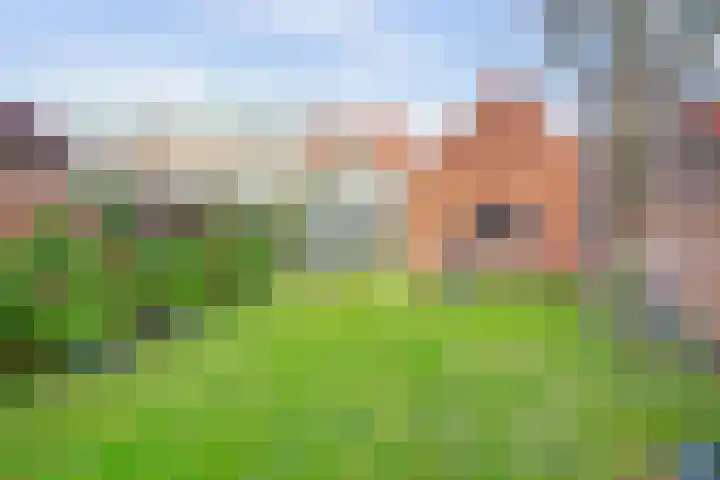 Prins Hendriklaan 18 Vlaardingen thumbnail 18