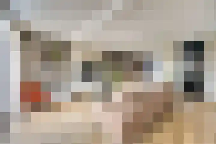 Prins Hendriklaan 18 Vlaardingen thumbnail 4