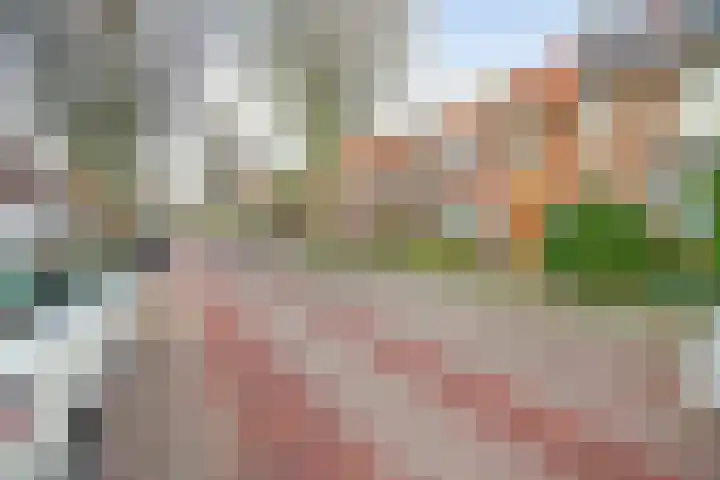 Prins Hendriklaan 18 Vlaardingen thumbnail 45