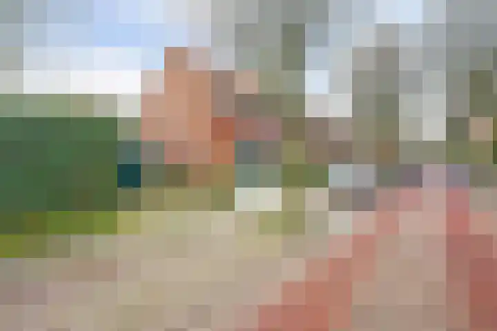 Prins Hendriklaan 18 Vlaardingen thumbnail 46