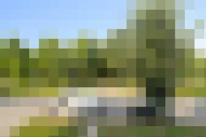 Prins Hendriklaan 19 Den Helder thumbnail 14