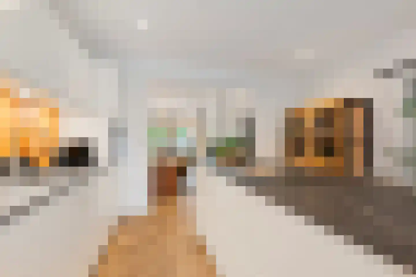 Prins Hendriklaan 19 Den Helder thumbnail 22