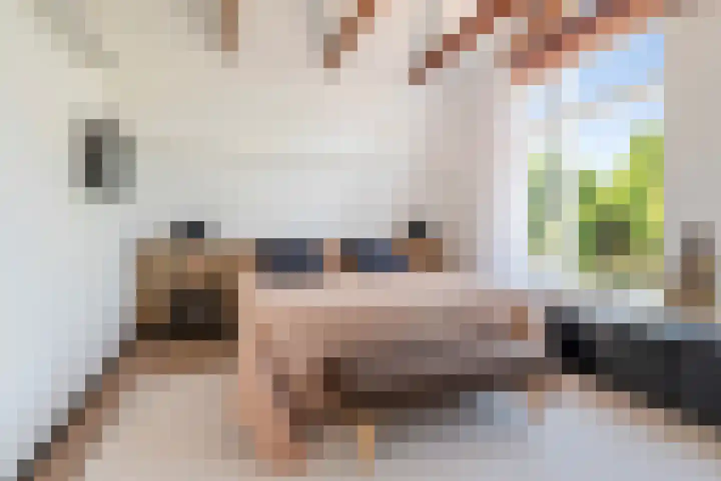 Prins Hendriklaan 19 Den Helder thumbnail 49