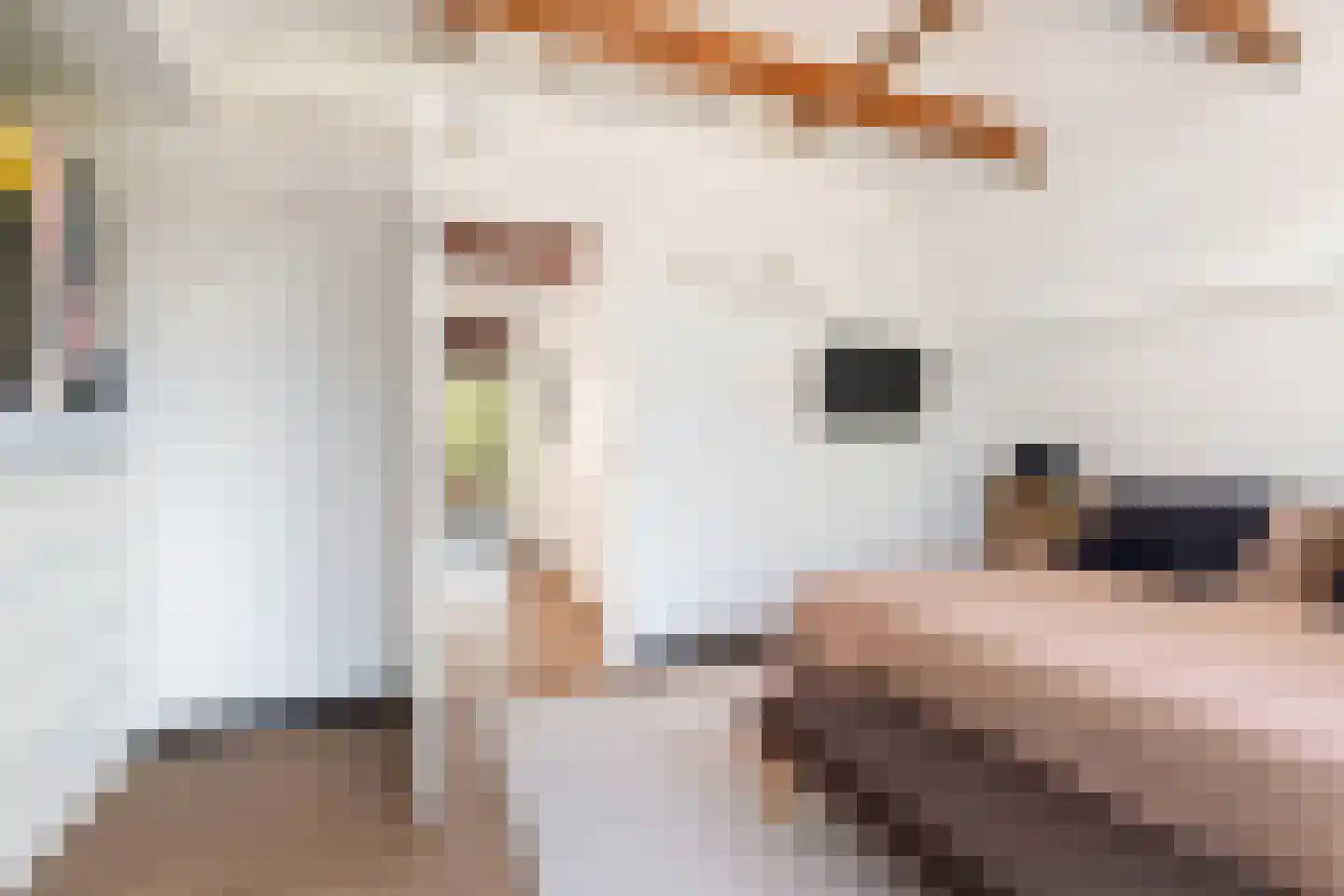 Prins Hendriklaan 19 Den Helder thumbnail 52