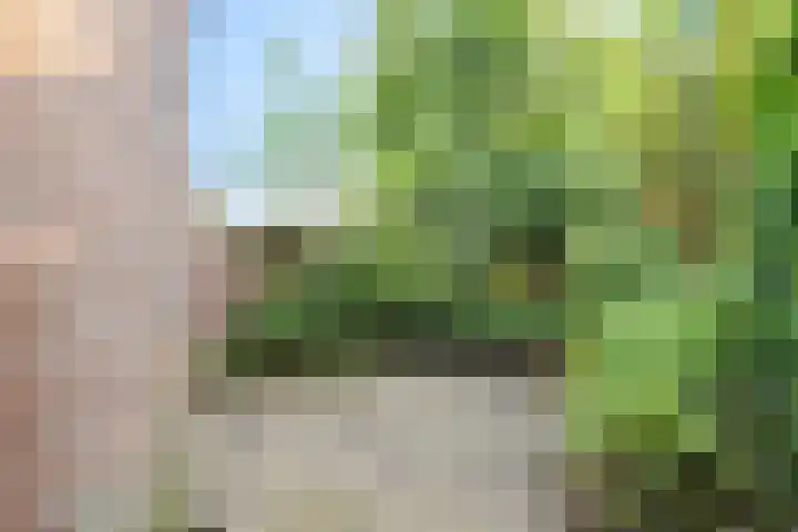 Prins Hendriklaan 19 Den Helder thumbnail 8