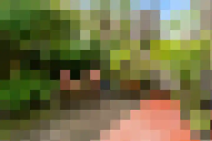 Prins Hendriklaan 19 Utrecht thumbnail 10