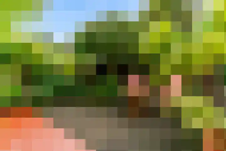 Prins Hendriklaan 19 Utrecht thumbnail 11
