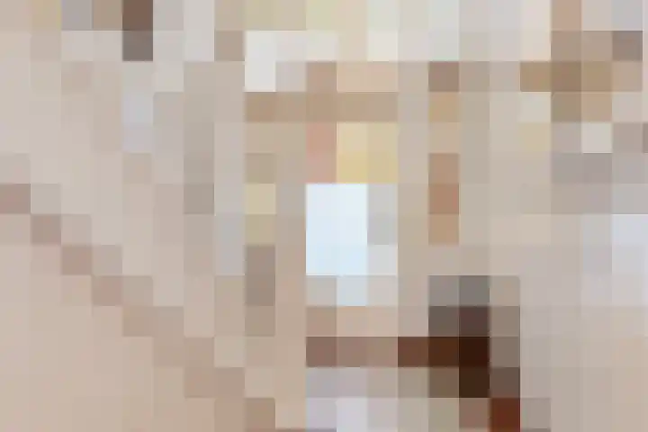 Prins Hendriklaan 19 Utrecht thumbnail 15