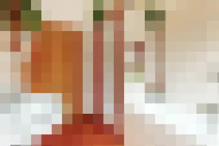 Prins Hendriklaan 19 Utrecht thumbnail 24
