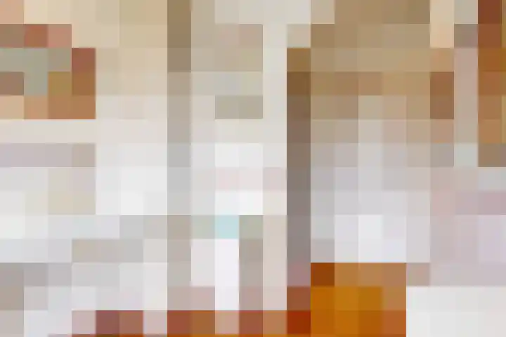 Prins Hendriklaan 19 Utrecht thumbnail 28
