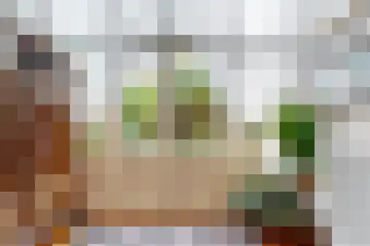 Prins Hendriklaan 19 Utrecht thumbnail 4