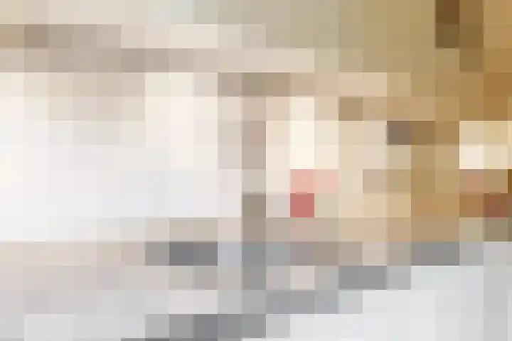 Prins Hendriklaan 19 Utrecht thumbnail 8