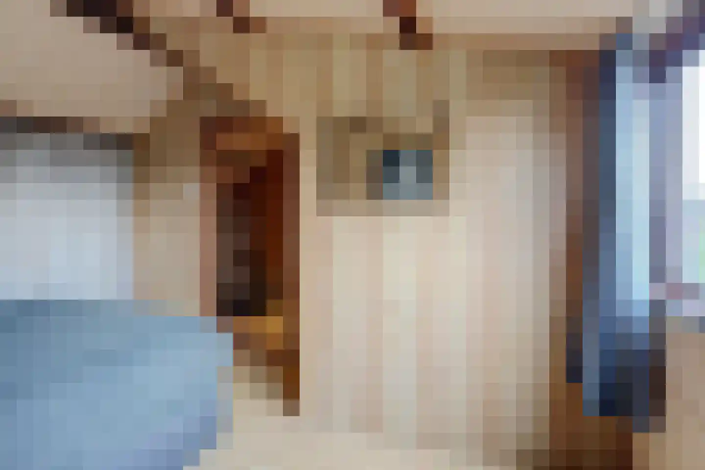 Prins Hendriklaan 19 Zuidland thumbnail 41