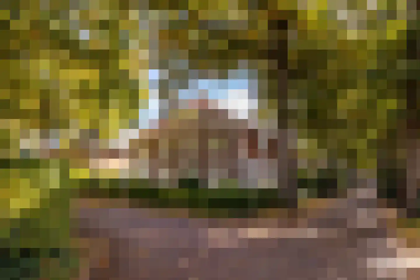 Prins Hendriklaan 21 Driebergen-Rijsenburg