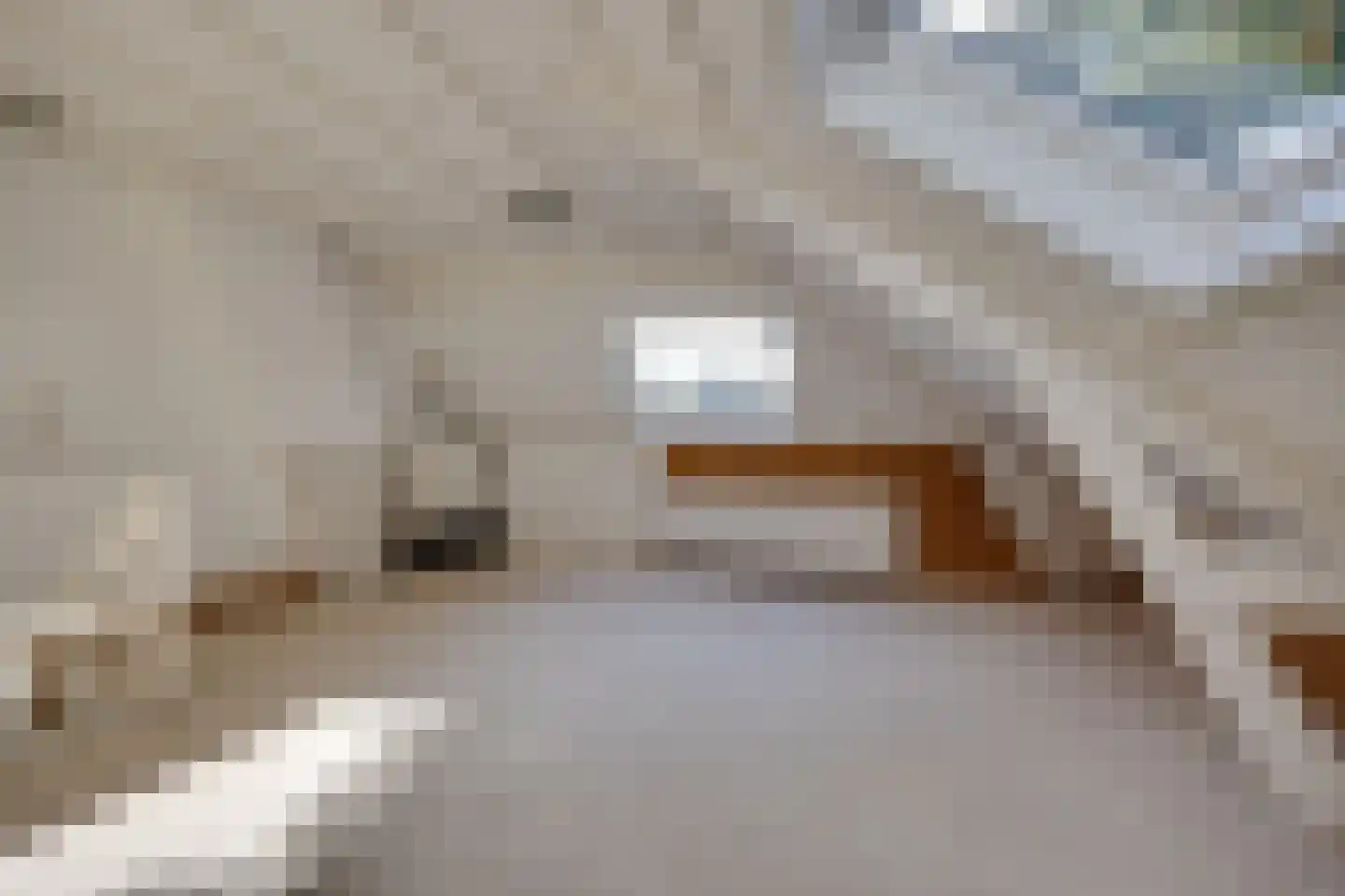 Prins Hendriklaan 21 Driebergen-Rijsenburg thumbnail 32
