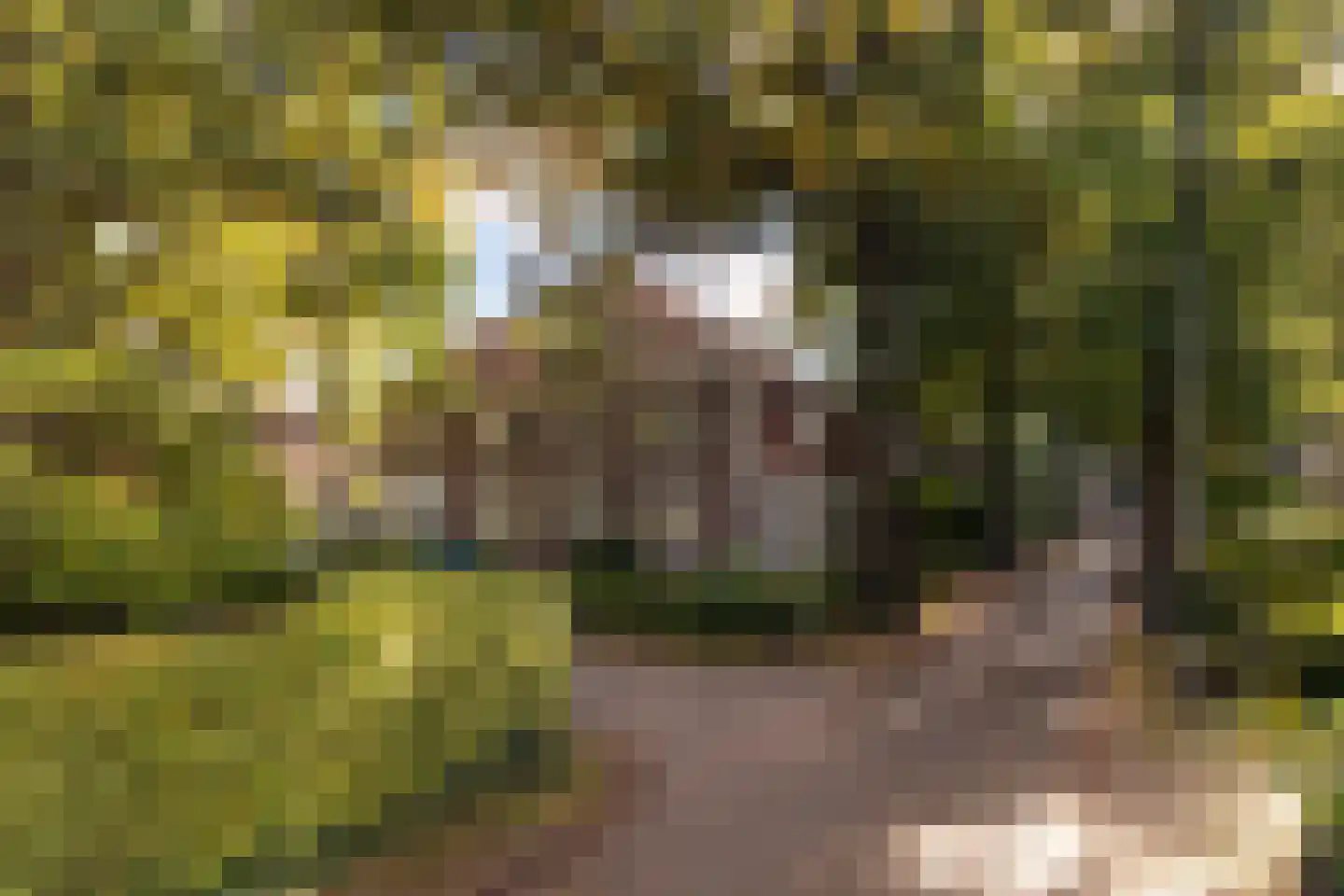 Prins Hendriklaan 21 Driebergen-Rijsenburg thumbnail 33