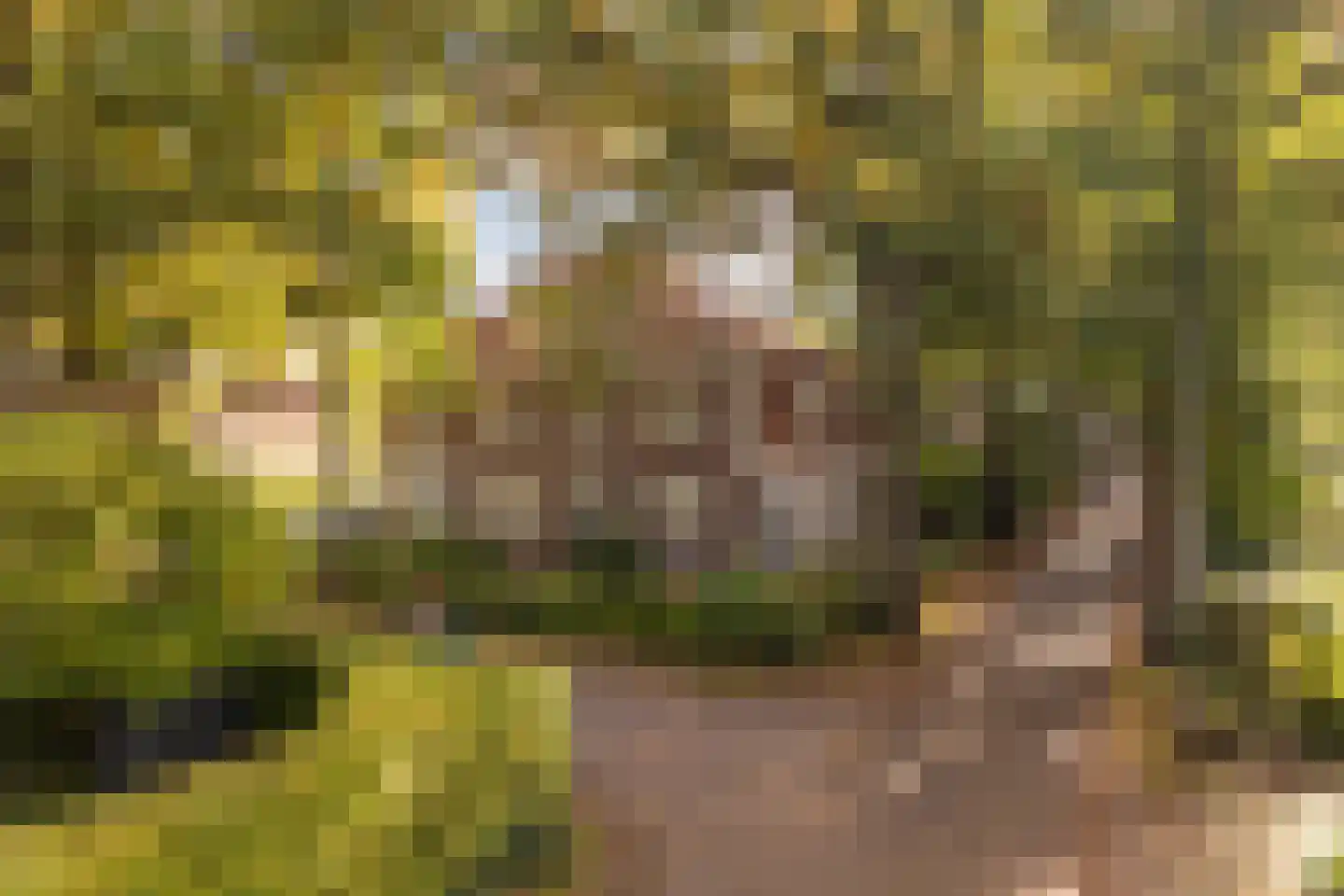 Prins Hendriklaan 21 Driebergen-Rijsenburg thumbnail 34