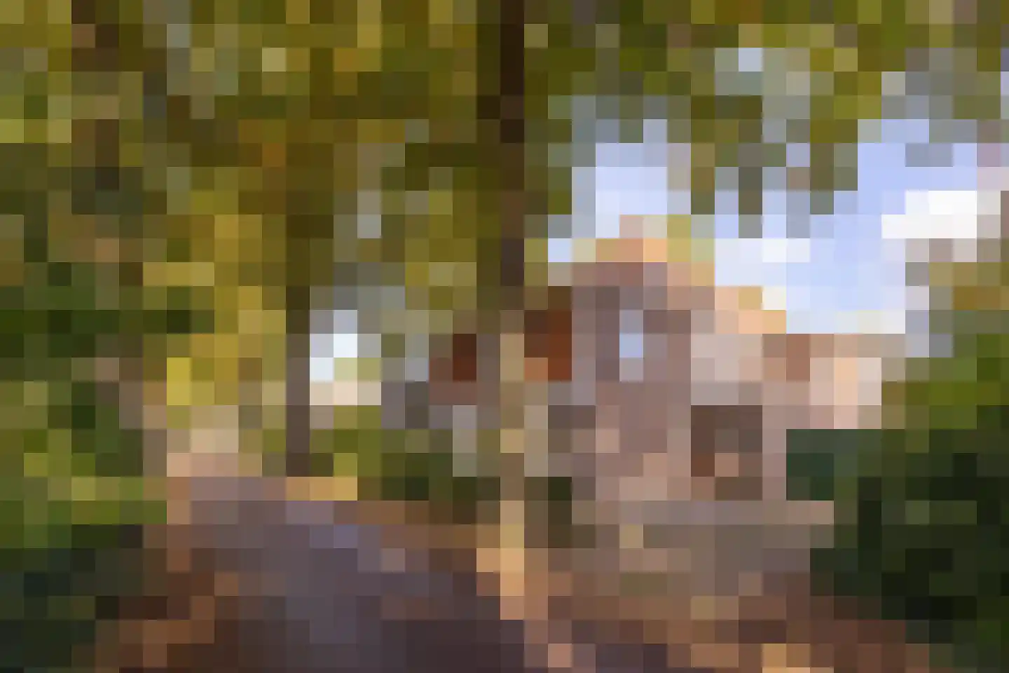 Prins Hendriklaan 21 Driebergen-Rijsenburg thumbnail 38
