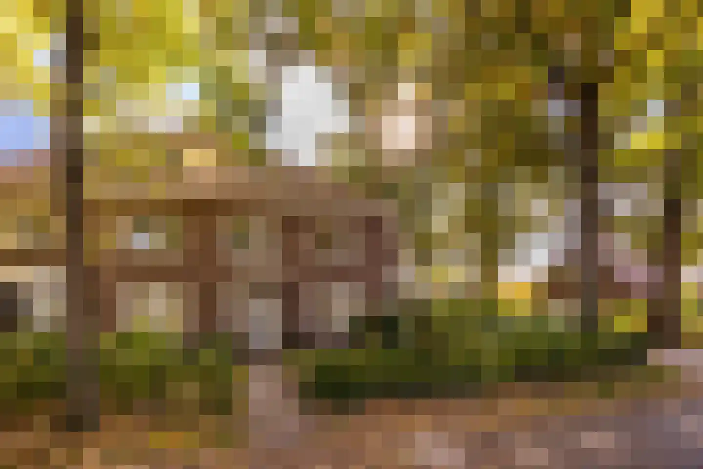 Prins Hendriklaan 21 Driebergen-Rijsenburg thumbnail 39