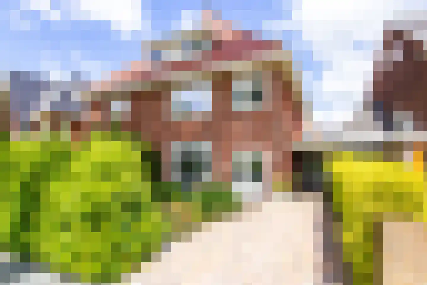 Prins Hendriklaan 21 Overveen