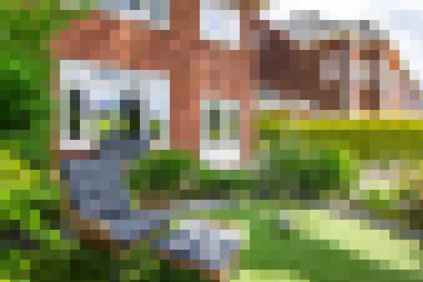 Prins Hendriklaan 21 Overveen thumbnail 14