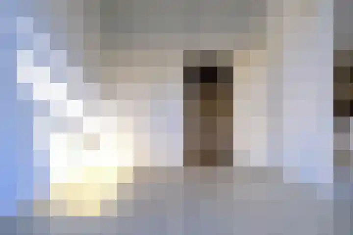 Prins Hendriklaan 21 Utrecht thumbnail 17