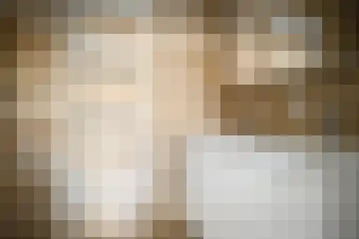 Prins Hendriklaan 21 Utrecht thumbnail 23