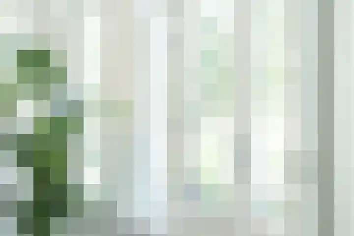 Prins Hendriklaan 21 Utrecht thumbnail 27