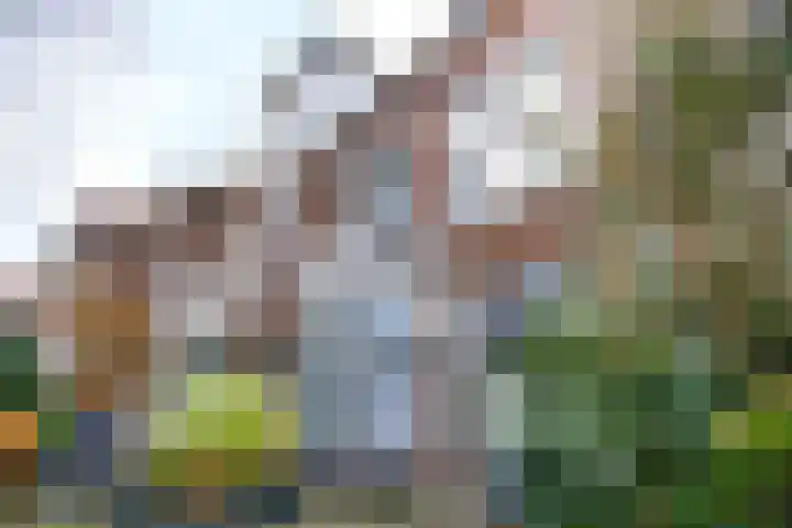 Prins Hendriklaan 21 Utrecht thumbnail 32