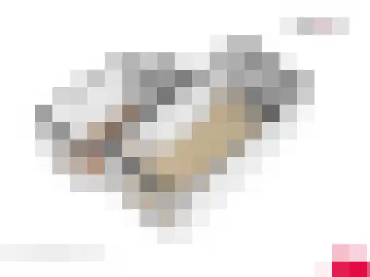 Prins Hendriklaan 21 Utrecht thumbnail 42