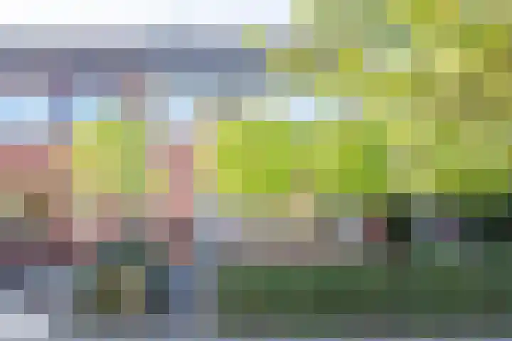 Prins Hendriklaan 23 Gendringen thumbnail 4