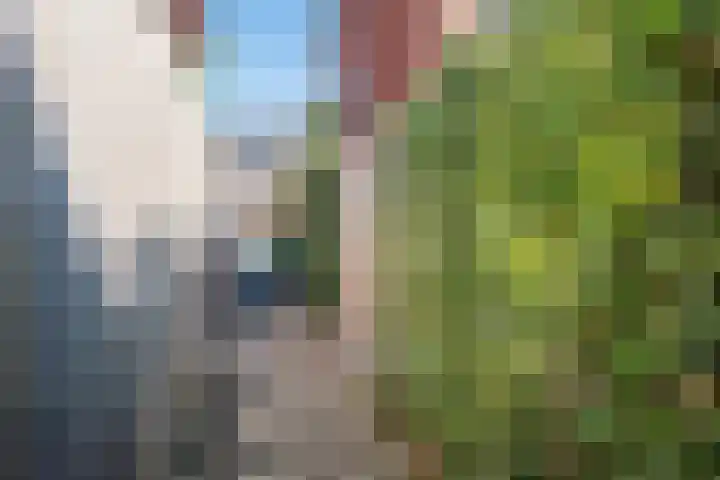 Prins Hendriklaan 23 Gendringen thumbnail 41